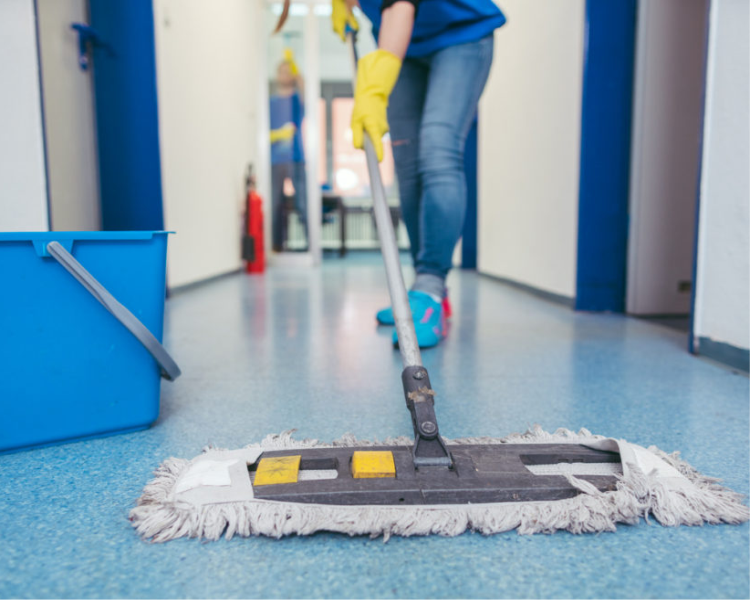 Cleaning Company in Willow Grove